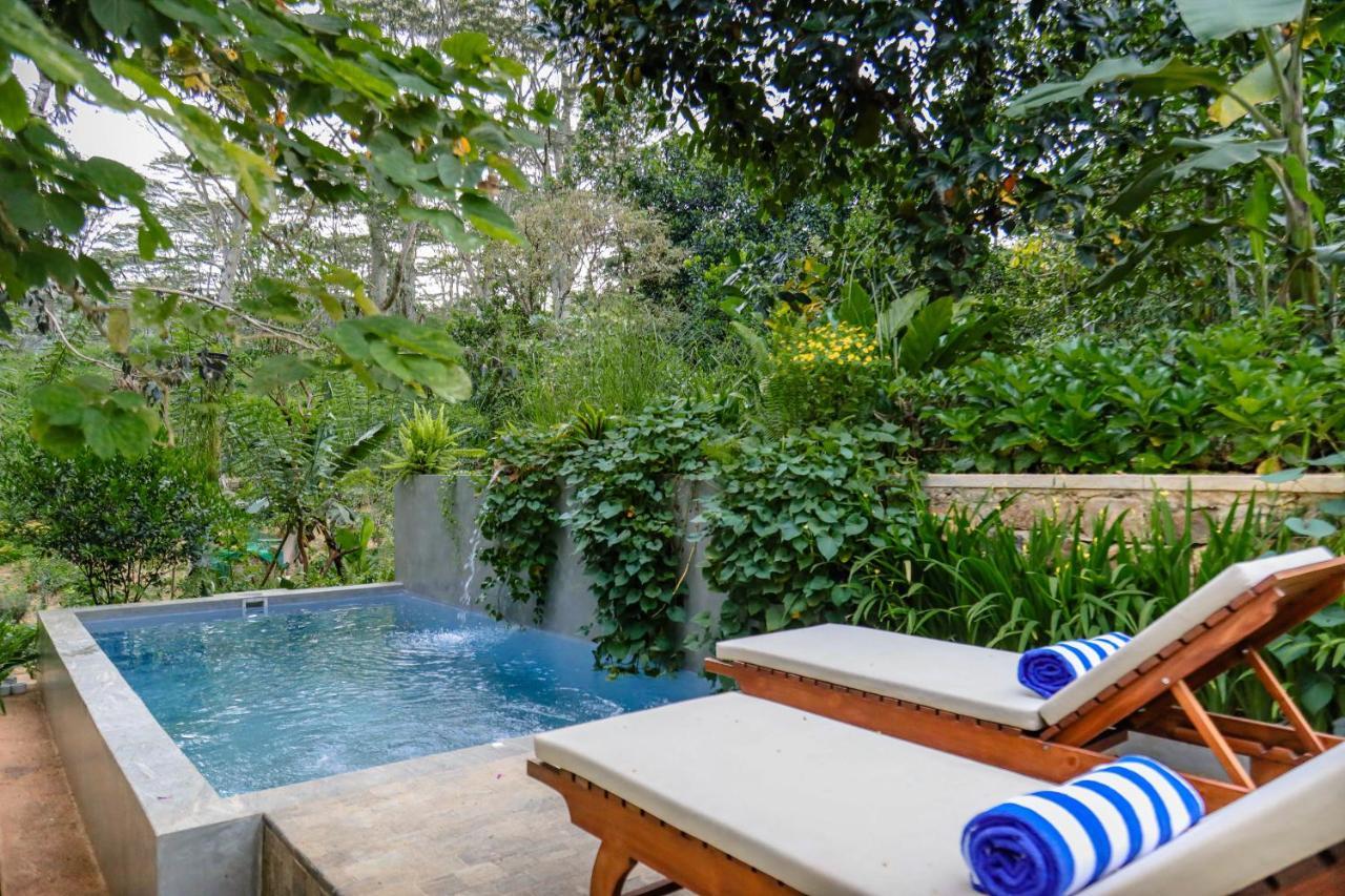 Tranquilisle Hotel Kandy Exterior foto